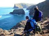banks peninsula coast