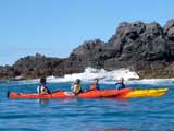 kayaking flea bay