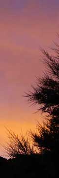 rotsunset2