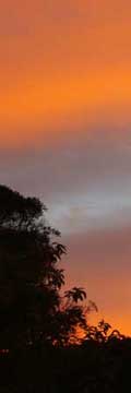rotsunsetorange2