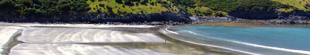 beachrot1